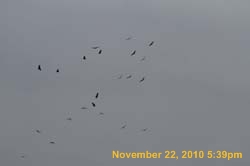 IMG_1421