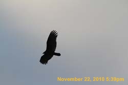 IMG_1422
