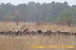 IMG_1428