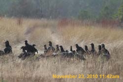 IMG_1434