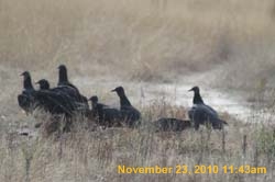 IMG_1437
