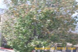 IMG_1447