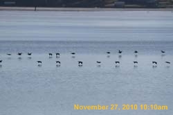 IMG_1501