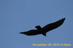 IMG_1519