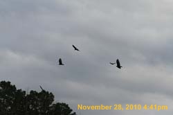 IMG_1525