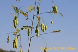 IMG_0751