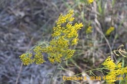 IMG_0813