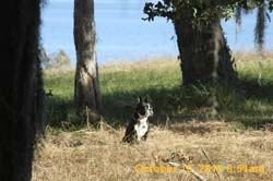 IMG_0866