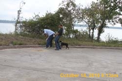 IMG_0978
