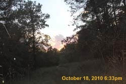 IMG_0994