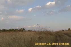 IMG_1352