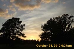 IMG_1382