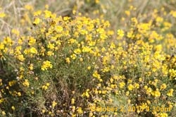 IMG_1138