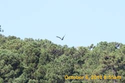 IMG_1142
