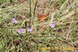 IMG_1150
