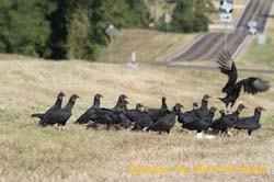 IMG_1188