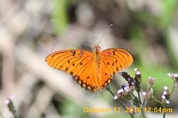 IMG_1212
