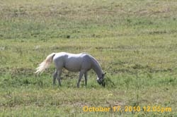 IMG_1216