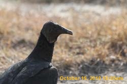 IMG_1249