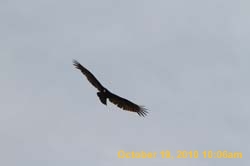 IMG_1252