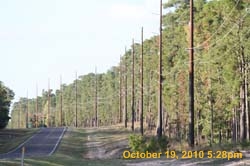 IMG_1278