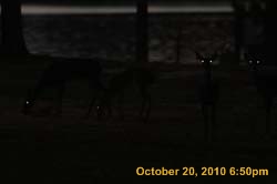 IMG_1292