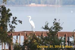 IMG_1296