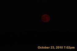 IMG_1306
