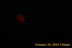 IMG_1308