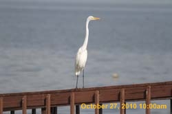IMG_1316