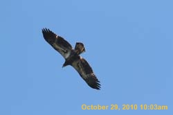 IMG_1326
