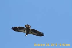 IMG_1327
