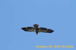IMG_1328