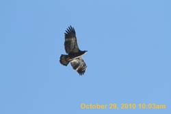 IMG_1330