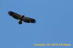 IMG_1331