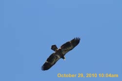 IMG_1333