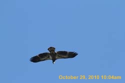 IMG_1338