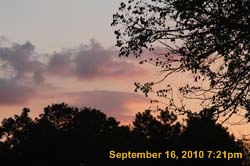 IMG_0381
