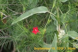 IMG_0450