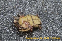 IMG_0561