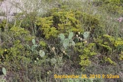 IMG_0605