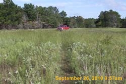 IMG_0620