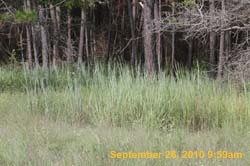 IMG_0623
