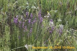 IMG_0624