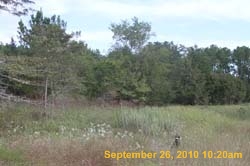 IMG_0637
