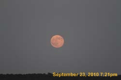 IMG_1061