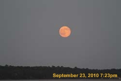 IMG_1062