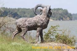 IMG_1075