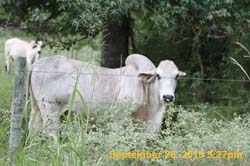 IMG_1080