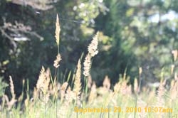 IMG_1095